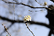 image0250
