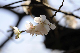 image0251