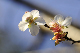 image0252