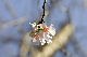image0253
