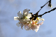 image0254