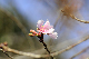 image0256
