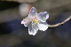 image0257