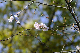 image0258