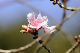 image0259