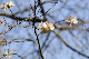 image0260