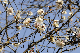 image0261