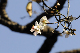 image0262