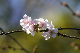 image0263