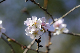 image0264