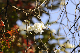 image0265
