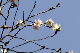 image0266