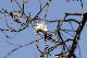image0267