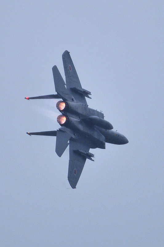 image0594