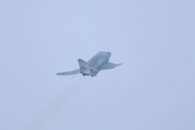 image0803