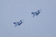 image0155