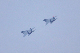 image0156
