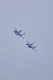 image0160
