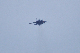 image0369