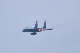 image0455
