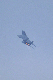 image0463