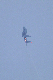 image0464