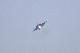 image0500