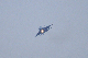 image0501