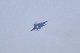 image0502