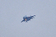 image0503