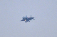 image0504