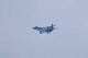 image0554