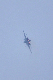 image0578