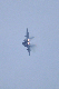 image0626