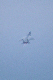 image0633