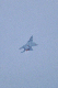 image0634