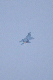 image0635