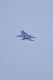 image0657