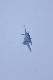 image0684