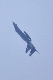 image0714