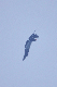 image0715