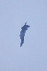 image0716