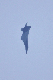 image0717