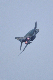 image0723