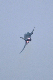 image0724