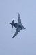 image0739