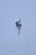 image0742