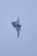 image0743