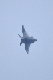image0761