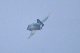 image0783